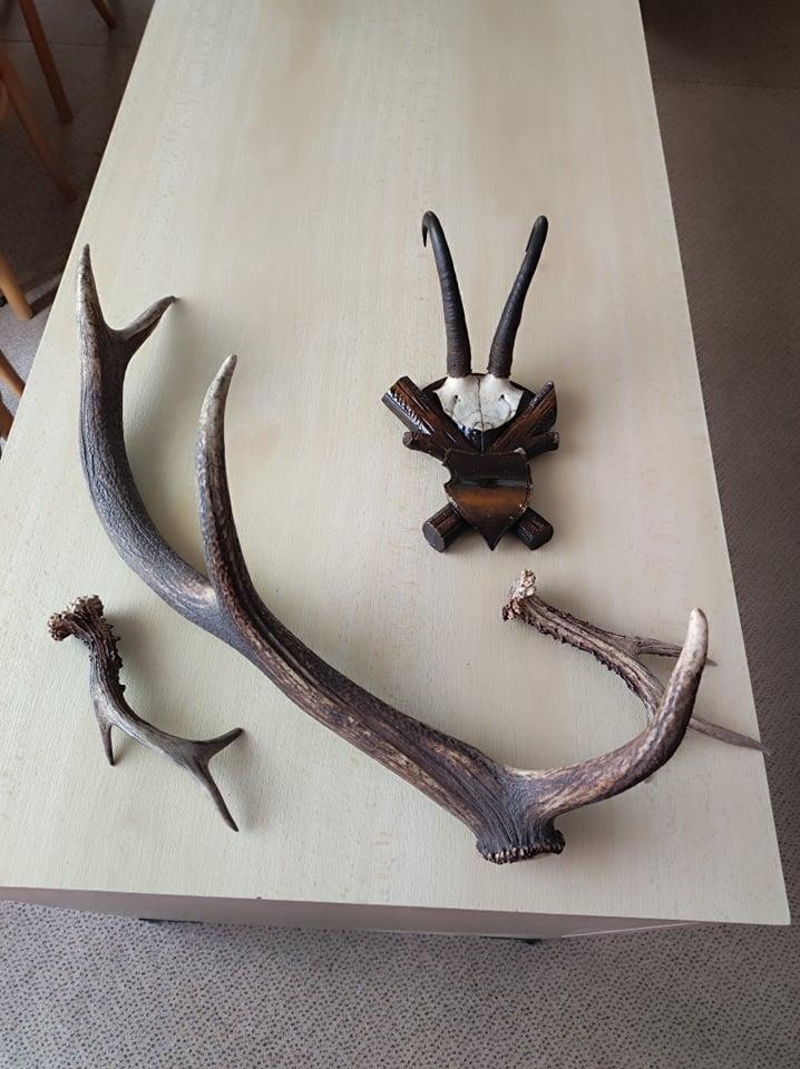 Přednáška p. Kubasy a návštěva hřiště - 11