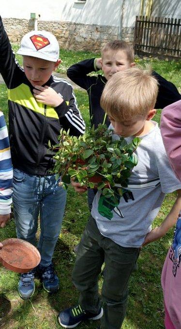9. 5. Učení venku, 2. třída - 23