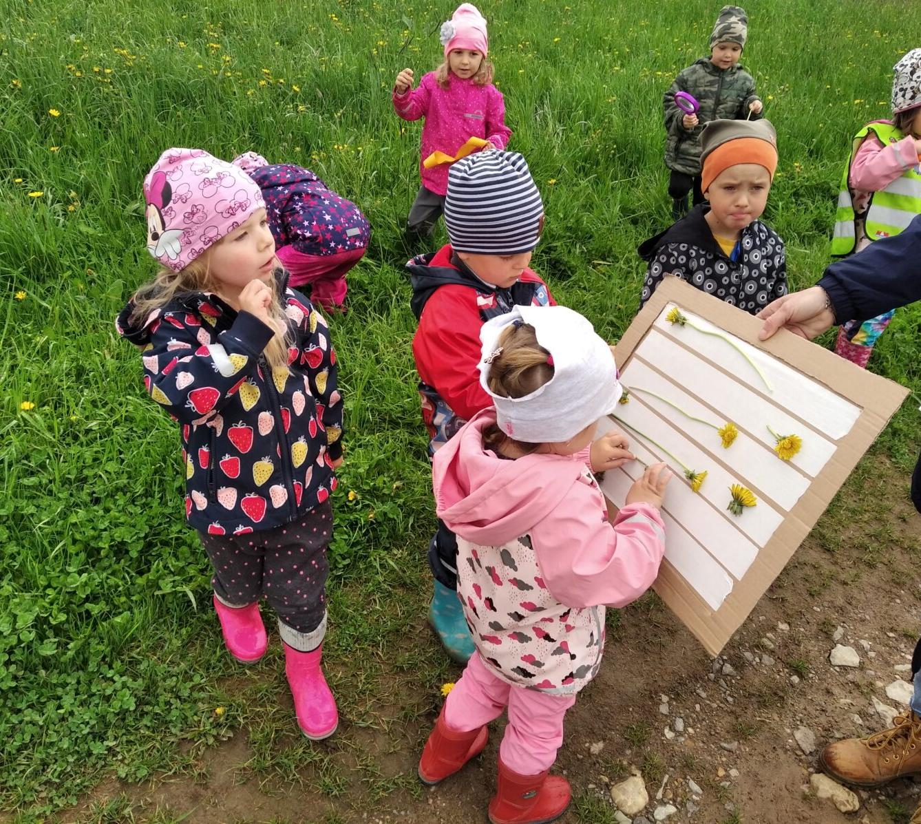 broučci-jarní louka - 21