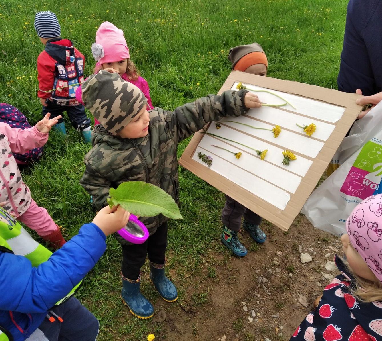 broučci-jarní louka - 22