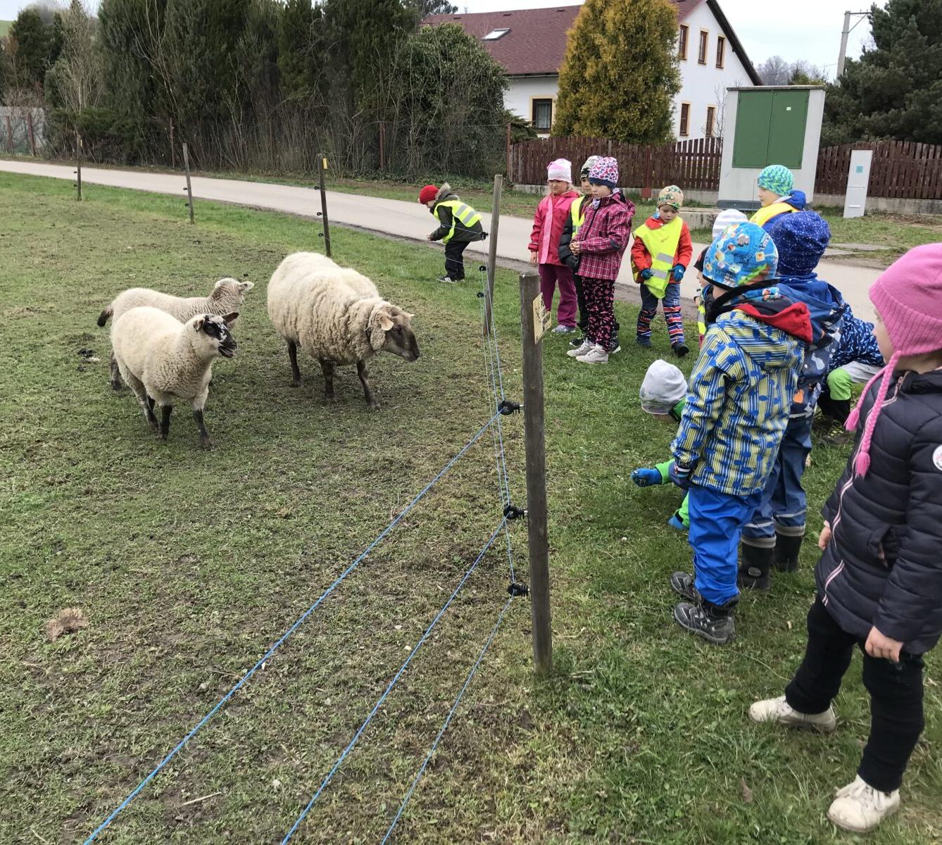 PŘEDŠKOLÁCI ,,VÝPRAVY ZA ZVÍŘÁTKY" - 12