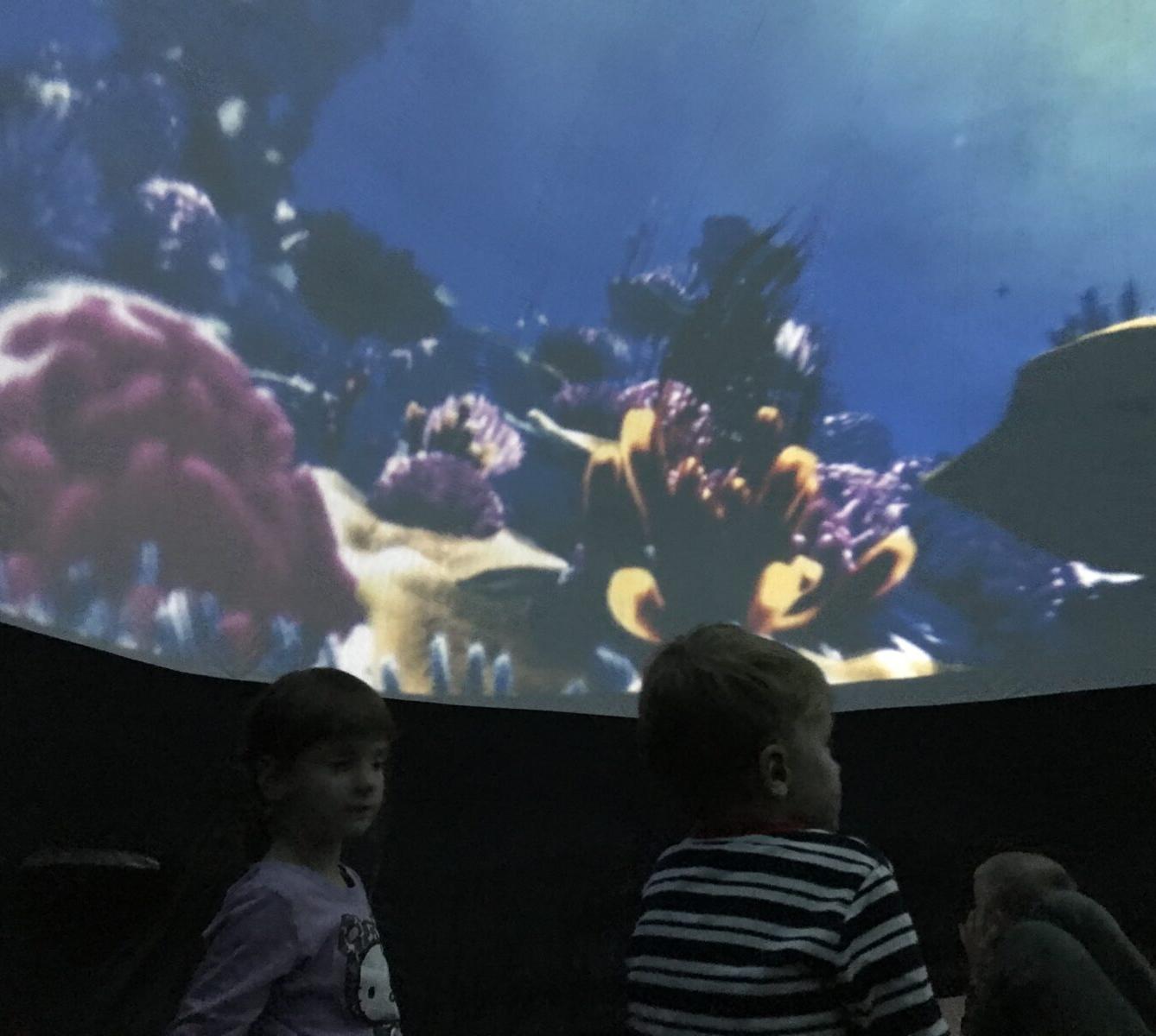 projektový den v MŠ - "Podmořský svět" I. - 24