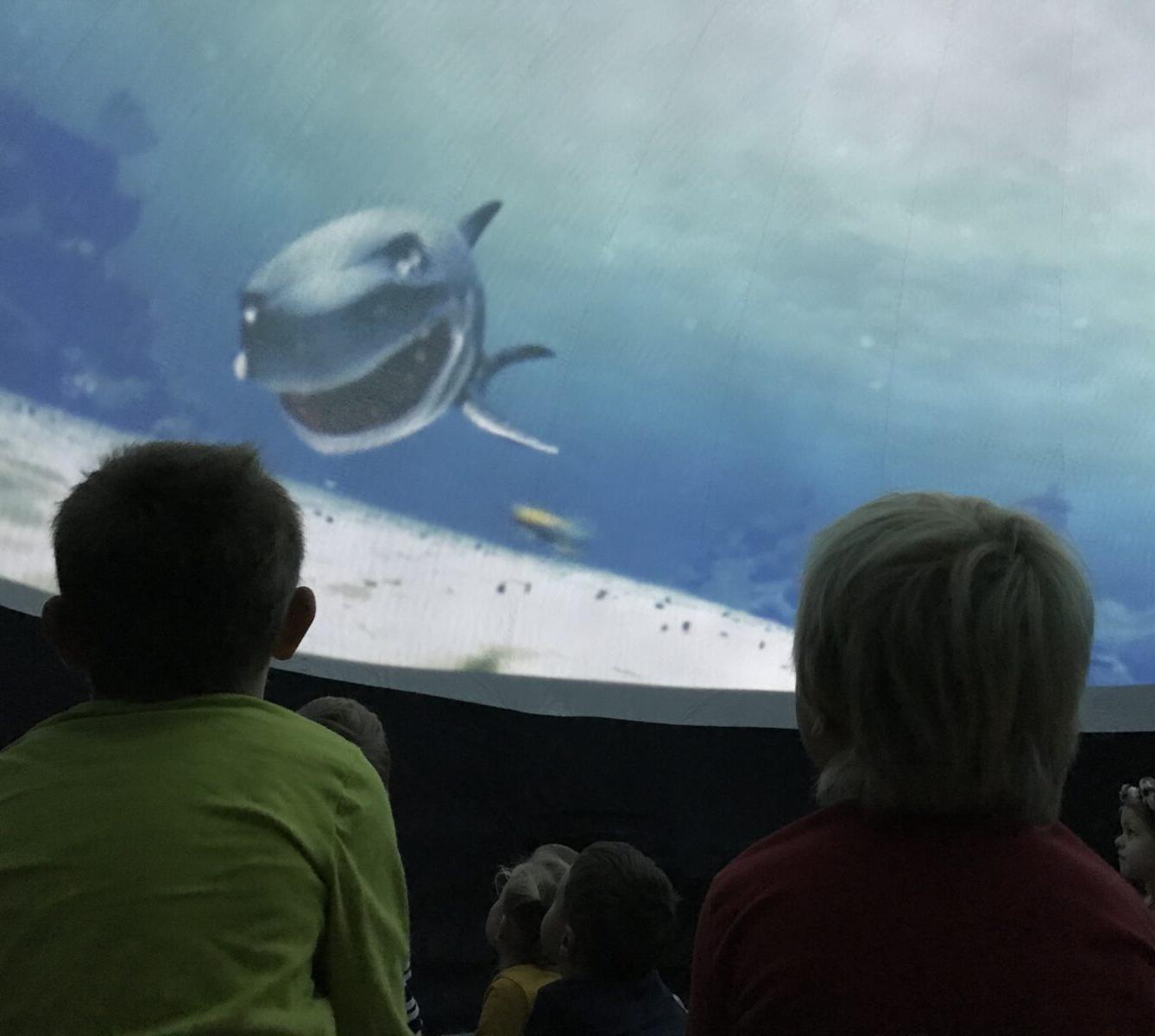 projektový den v MŠ - "Podmořský svět" I. - 26