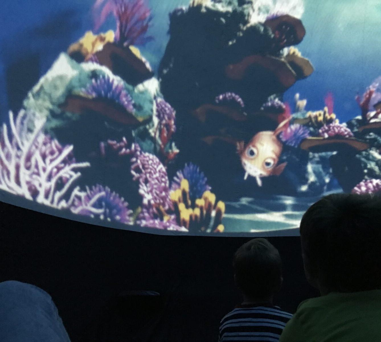 projektový den v MŠ - "Podmořský svět" I. - 27