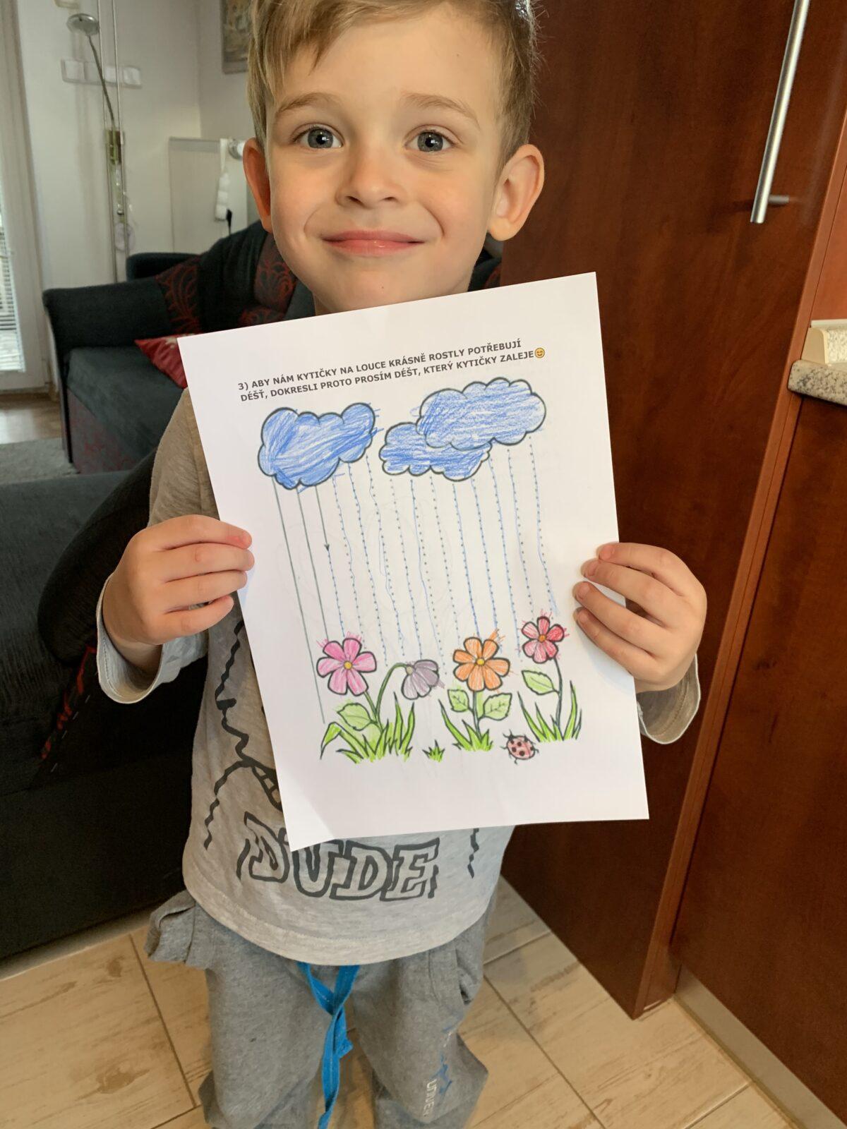 Distanční výuka - "Jarní louka, pole" (mladší děti) :-) - 2