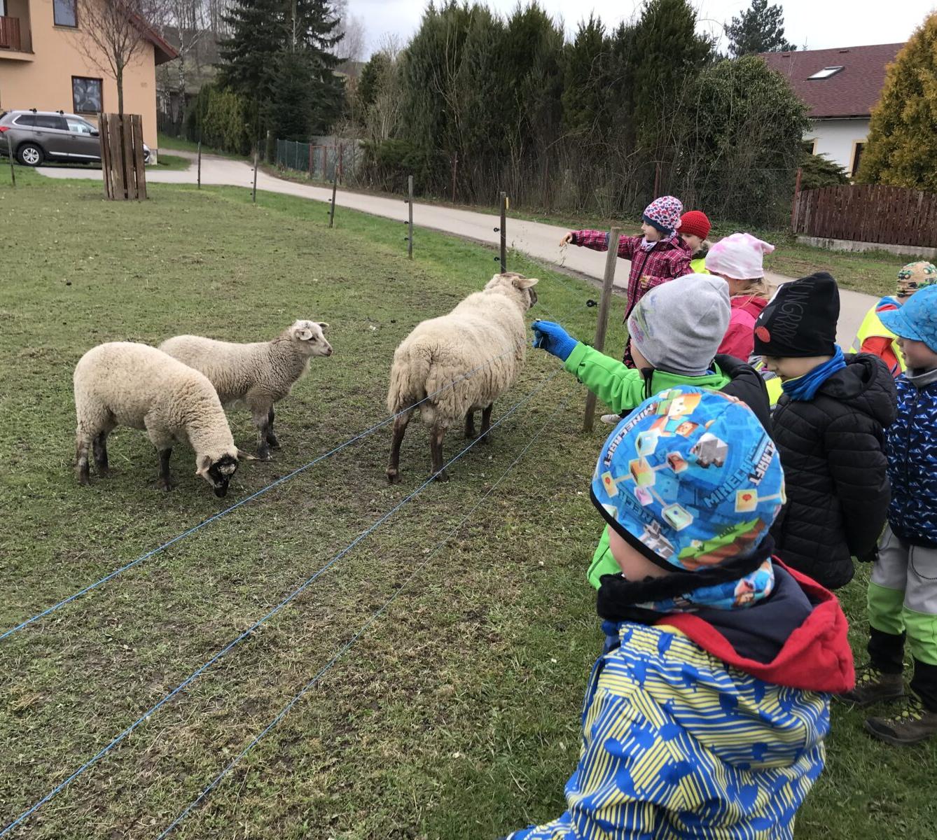 PŘEDŠKOLÁCI ,,VÝPRAVY ZA ZVÍŘÁTKY" - 13
