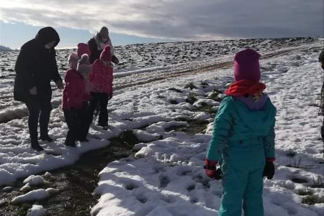 Po stopách zvířátek...družinka