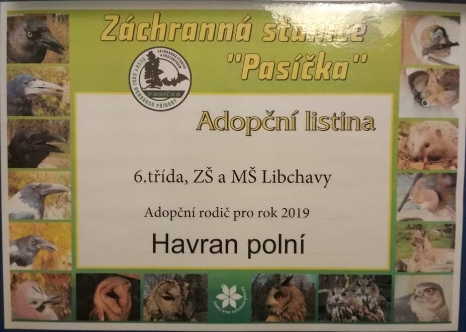 Sbírka na adopci zvířátka - 1