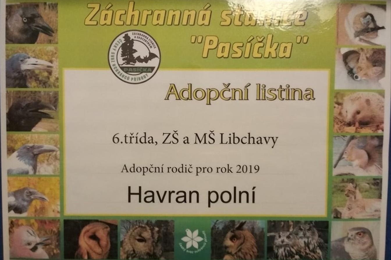 Sbírka na adopci zvířátka