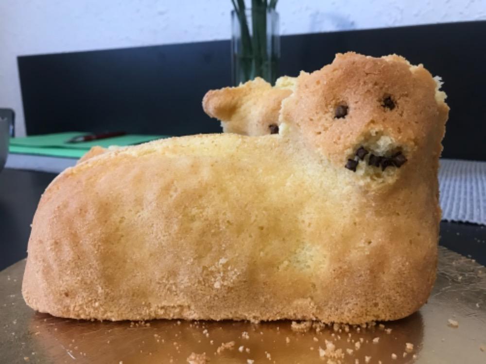 4. týden - Distanční výuka předškoláků i aktivity ostatních dětí - 19