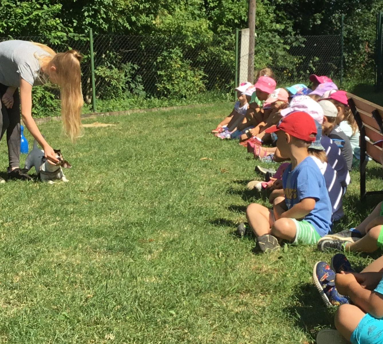 Vzpomínka na prázdniny - cvičení s pejskem - 6