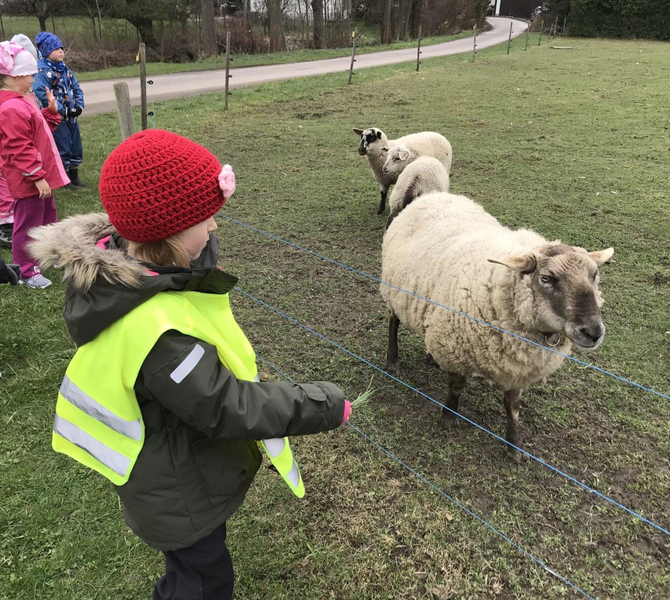 PŘEDŠKOLÁCI ,,VÝPRAVY ZA ZVÍŘÁTKY" - 14