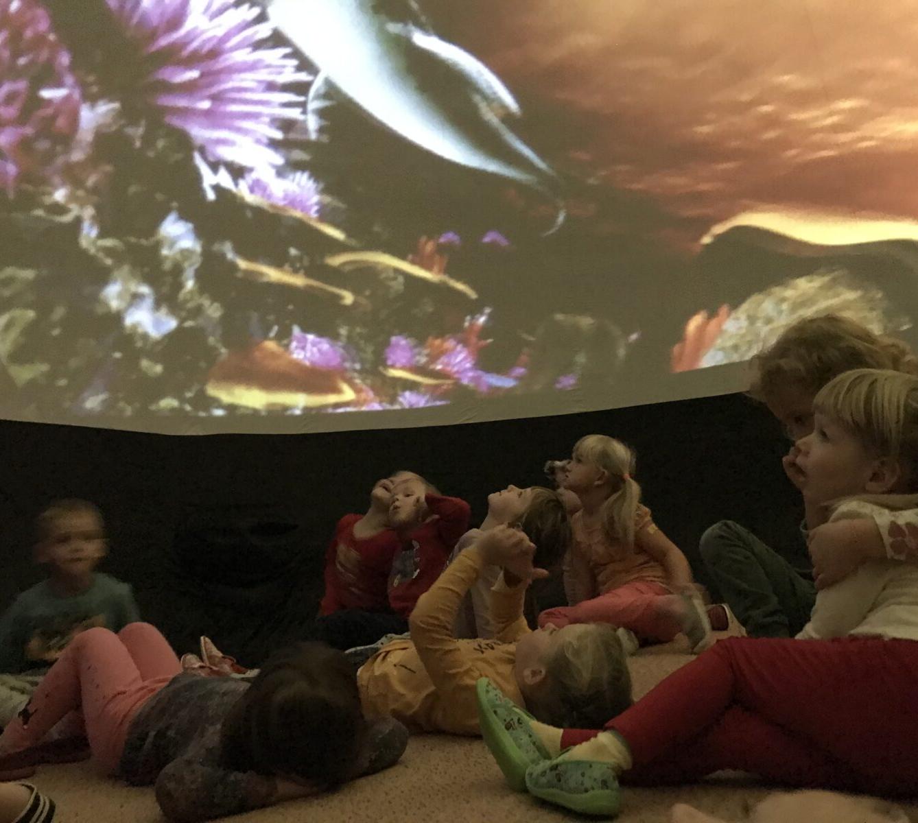 projektový den v MŠ - "Podmořský svět" I. - 30