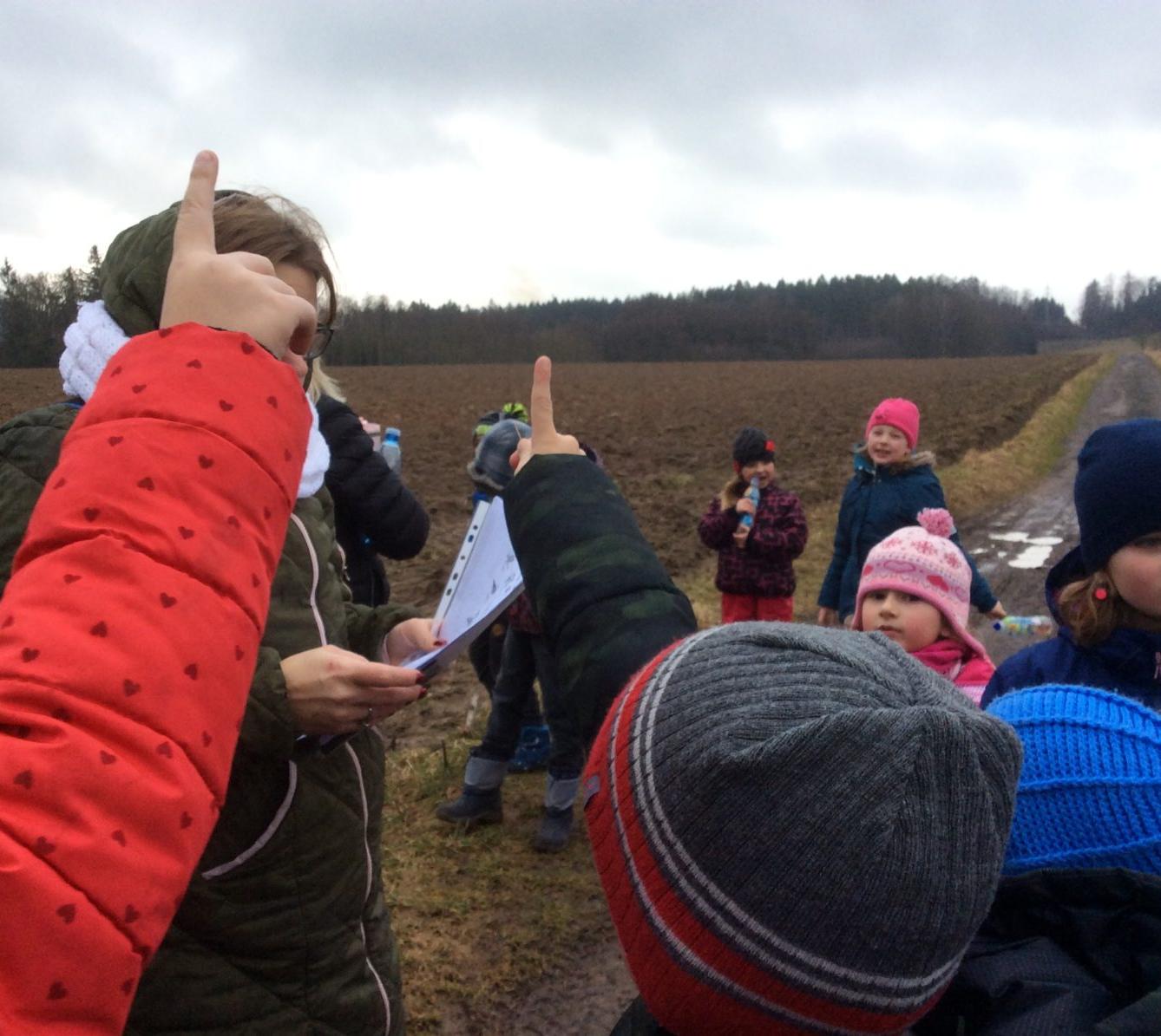 Vycházka k lesu - 5