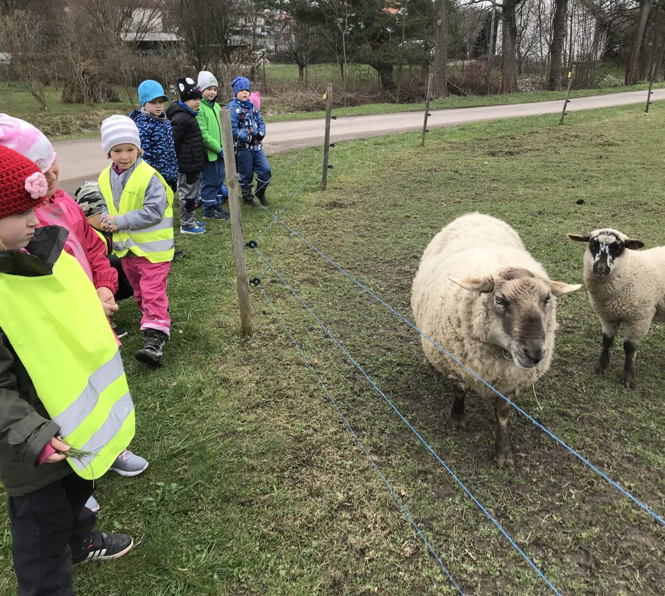 PŘEDŠKOLÁCI ,,VÝPRAVY ZA ZVÍŘÁTKY" - 15