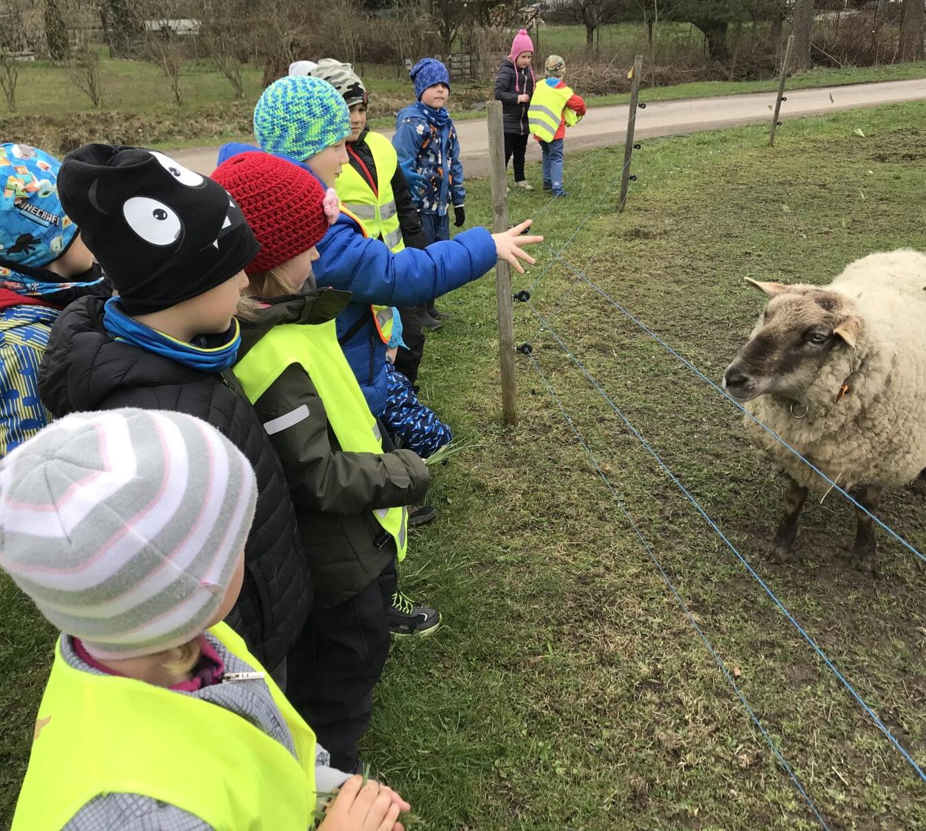 PŘEDŠKOLÁCI ,,VÝPRAVY ZA ZVÍŘÁTKY" - 16