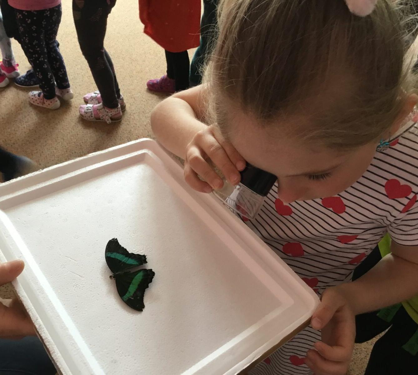 PROJEKTOVÝ DEN: ,,MOTÝLCI" - 18