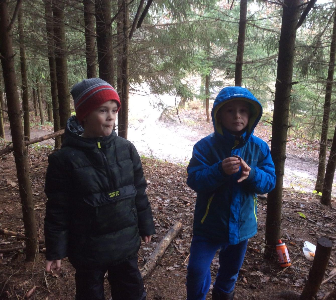 Vycházka k lesu - 8