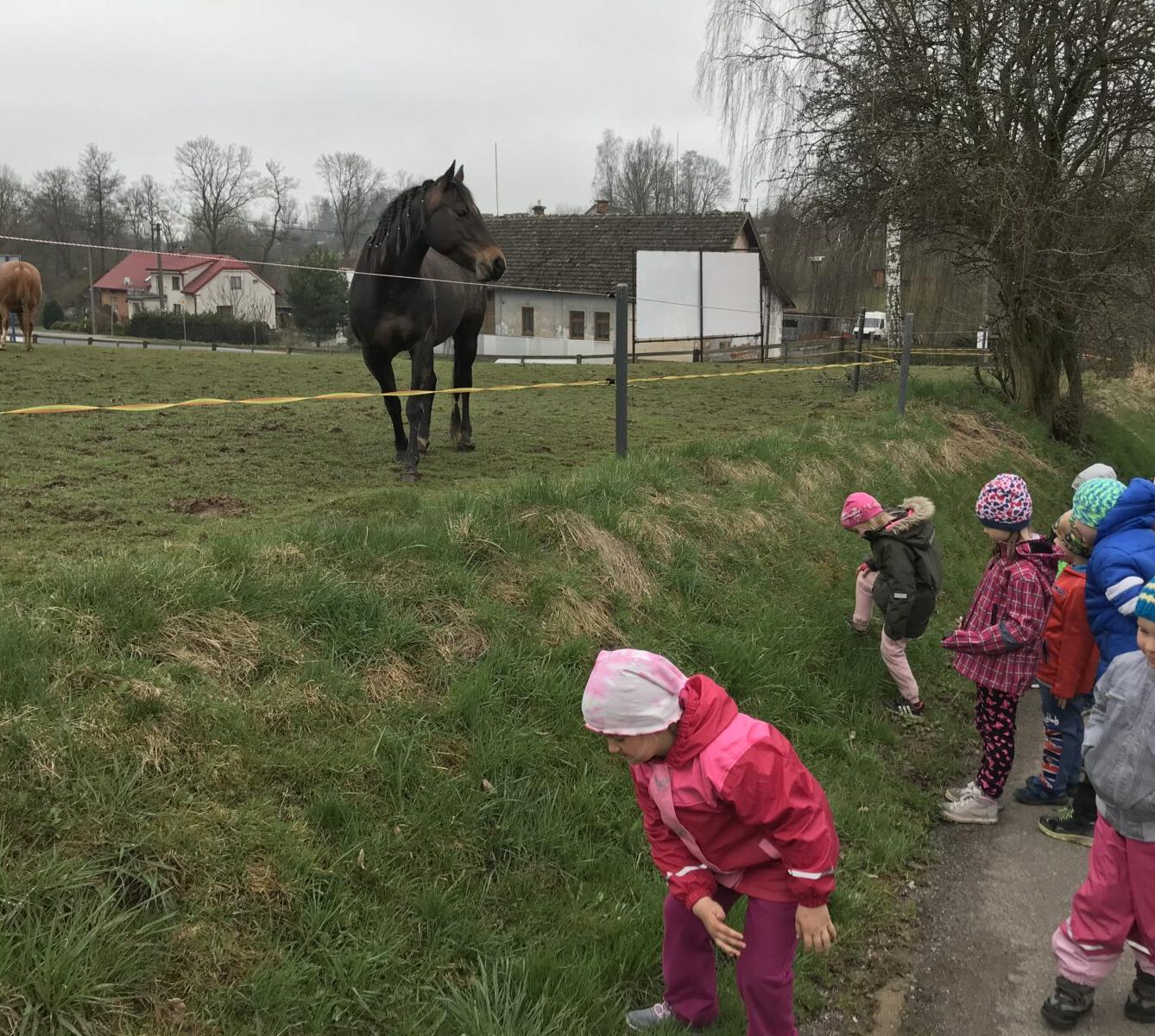 PŘEDŠKOLÁCI ,,VÝPRAVY ZA ZVÍŘÁTKY" - 17