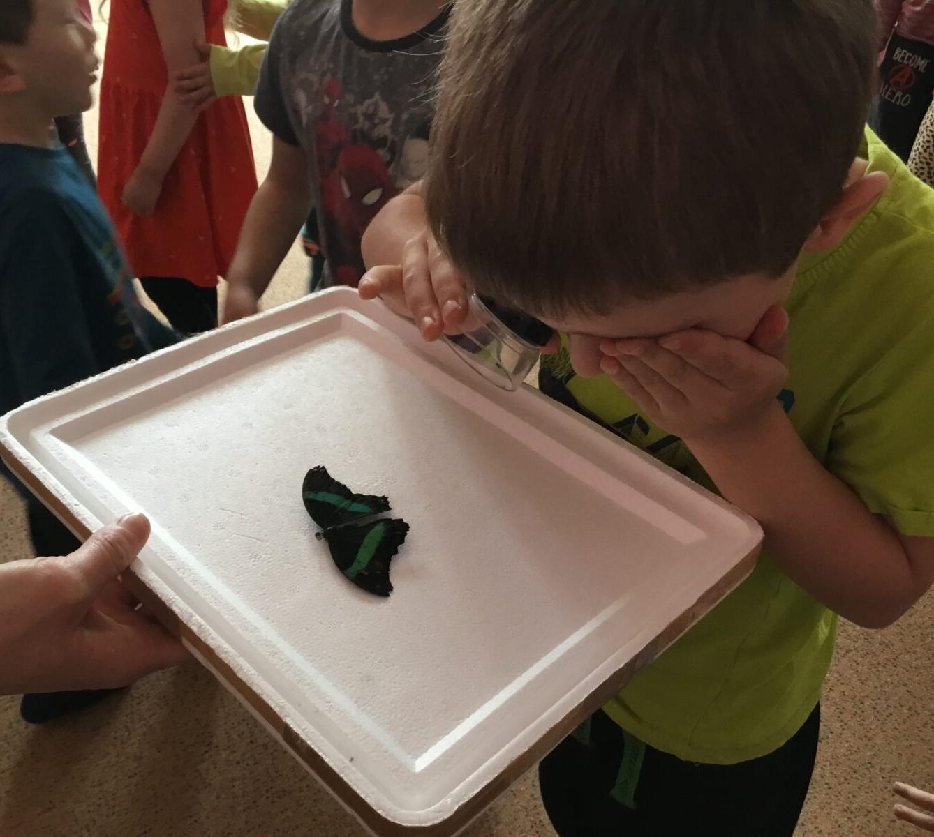 PROJEKTOVÝ DEN: ,,MOTÝLCI" - 24