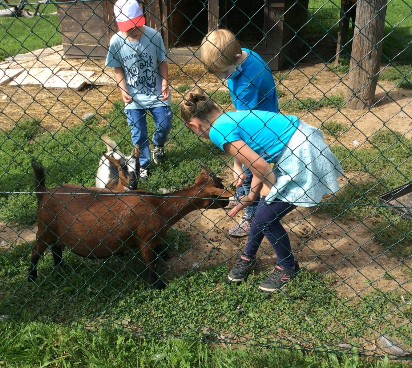 Družinka v zahradnictví - 9