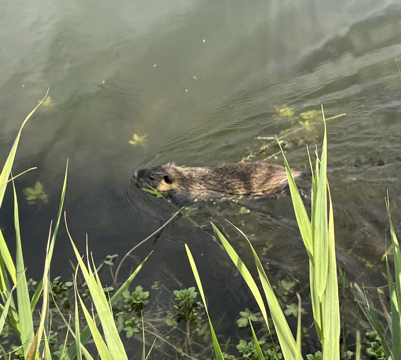Adaptační pobyt šesťáků- den druhý - 10