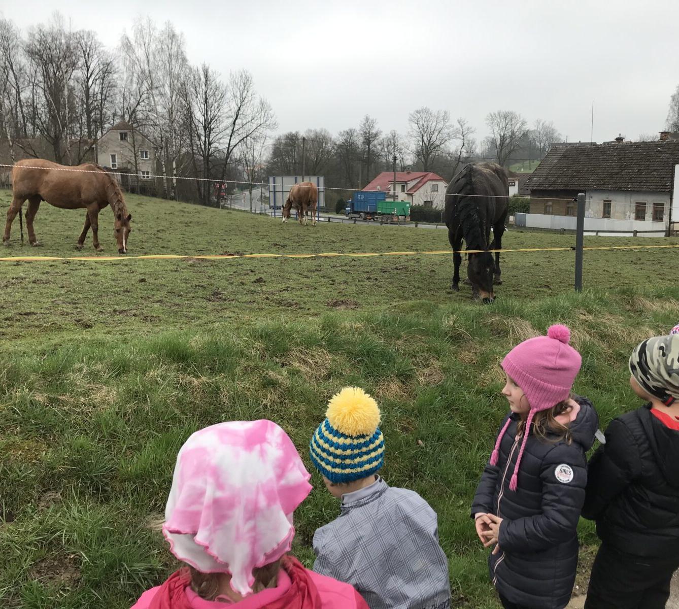PŘEDŠKOLÁCI ,,VÝPRAVY ZA ZVÍŘÁTKY" - 18