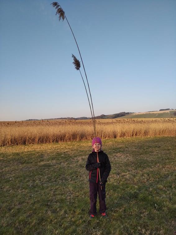 Domácí učení třeťáčků 7. 4. - 7