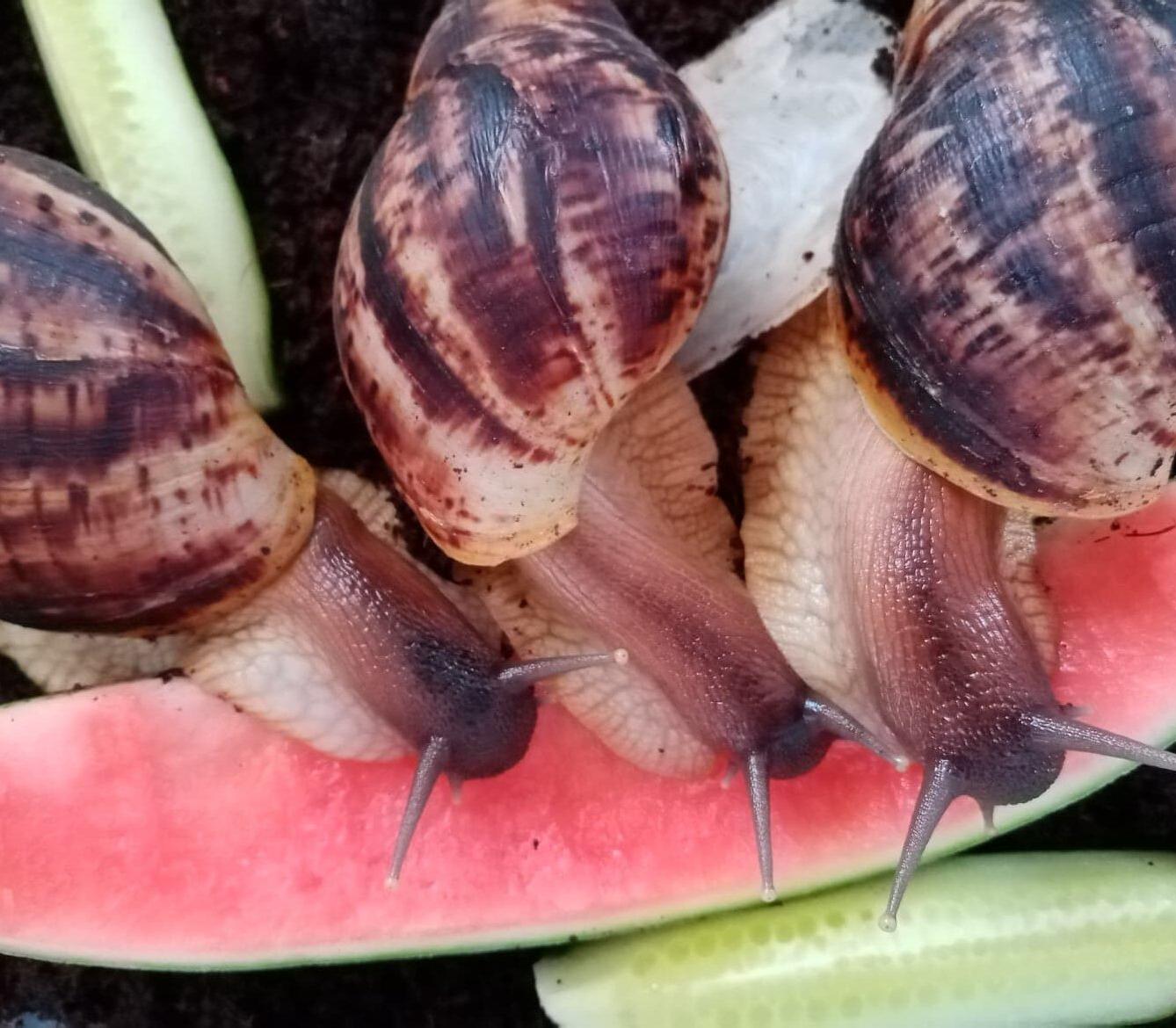 Čtenářská dílna ve 3. třídě, 22. 5. - 8