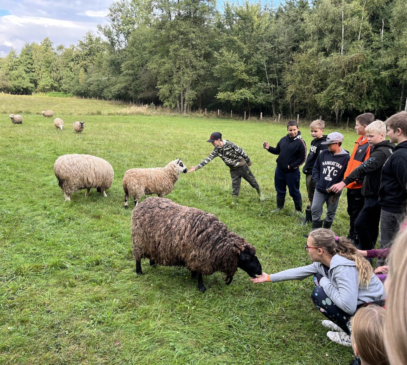Adaptační pobyt šesťáků- den druhý - 12