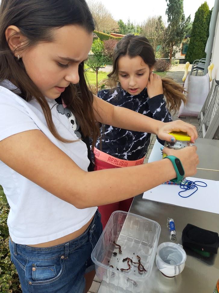 Jak zkoumali šesťáci žížaly - 2