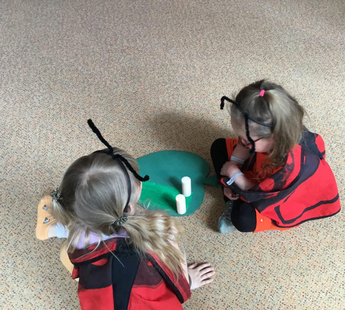 PROJEKTOVÝ DEN: ,,MOTÝLCI" - 27