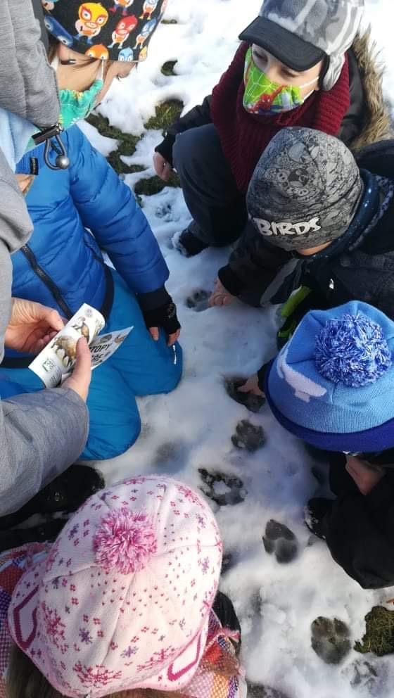 Po stopách zvířátek...družinka - 13