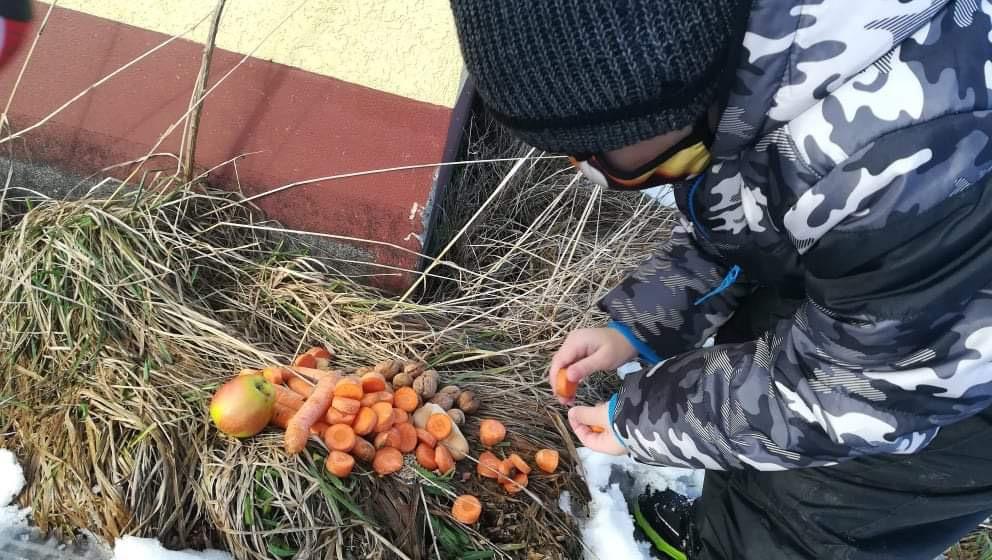 Po stopách zvířátek...družinka - 14