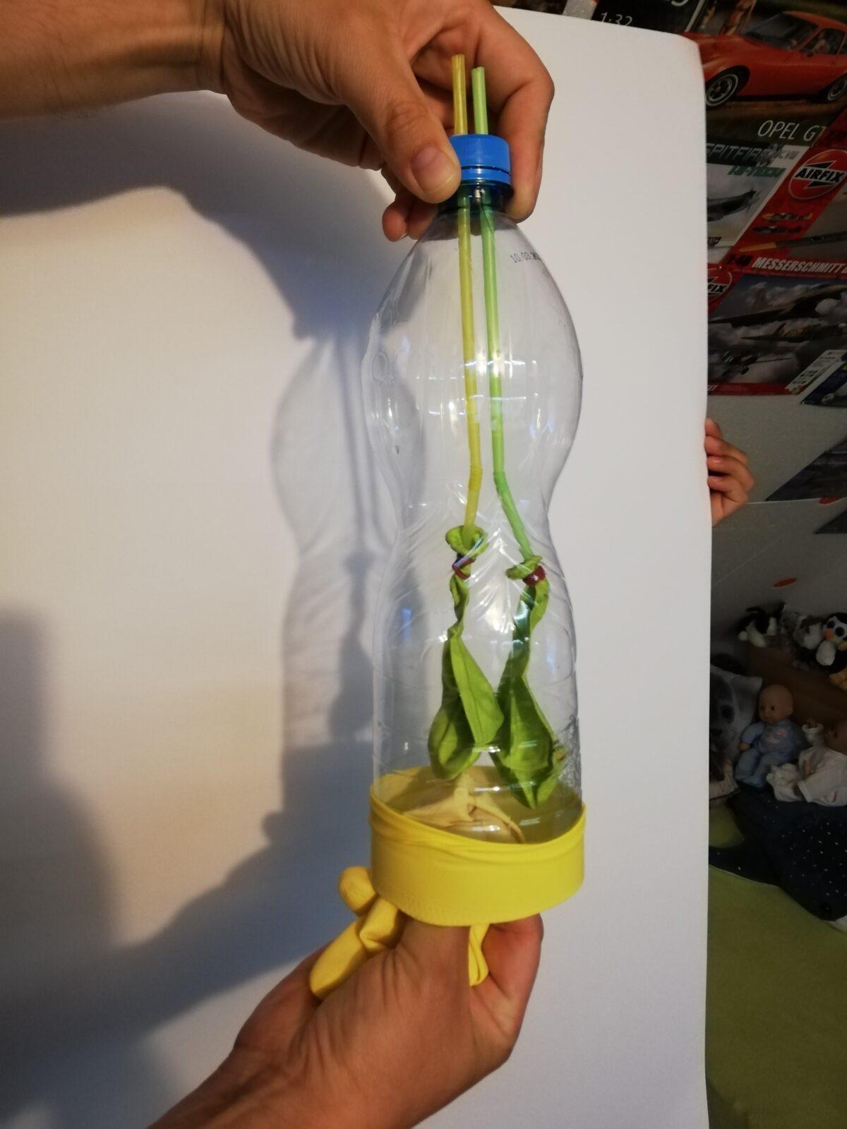 Laboratorní práce z Biologie člověka - 8. třída - 2