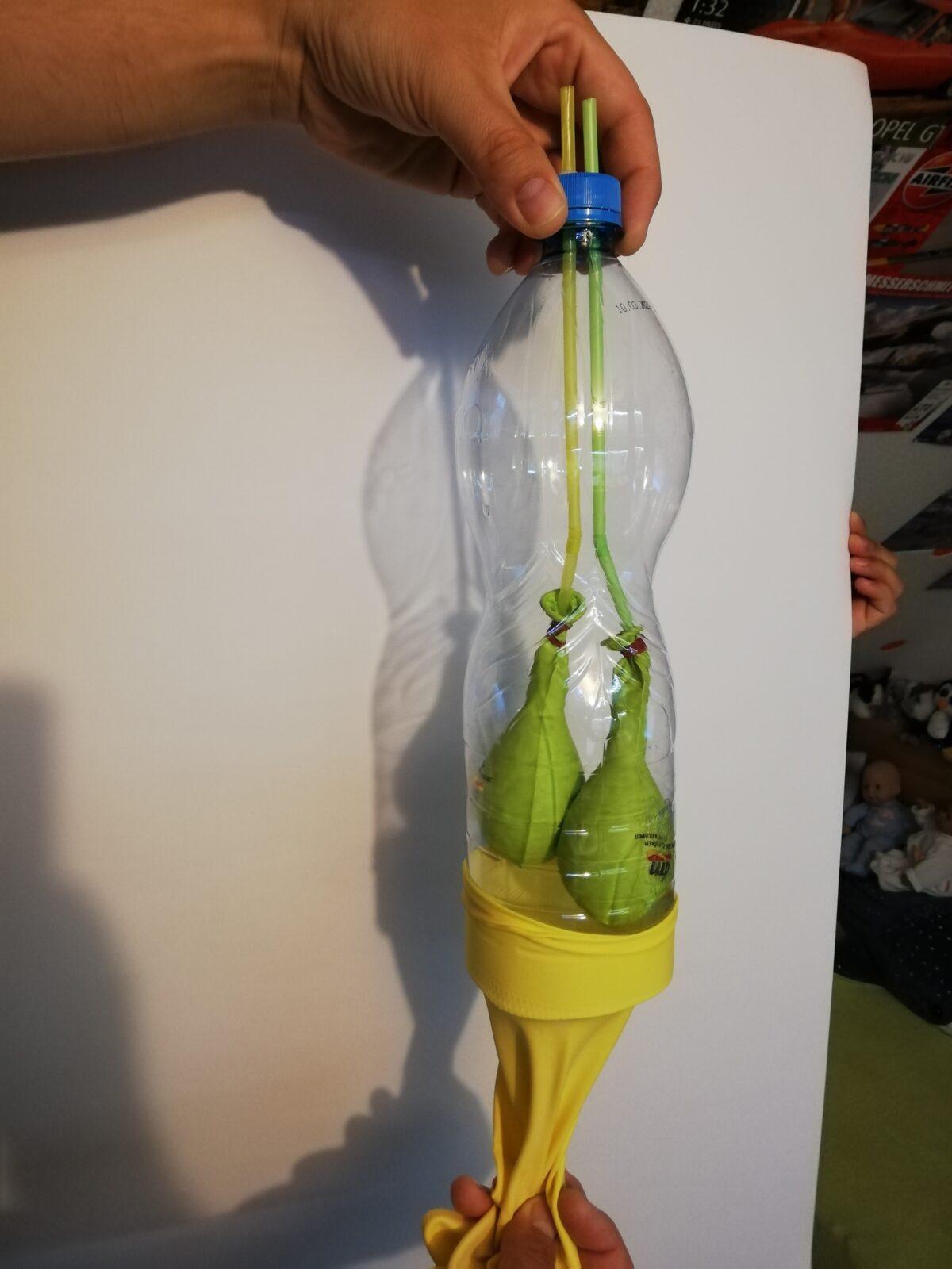 Laboratorní práce z Biologie člověka - 8. třída - 3