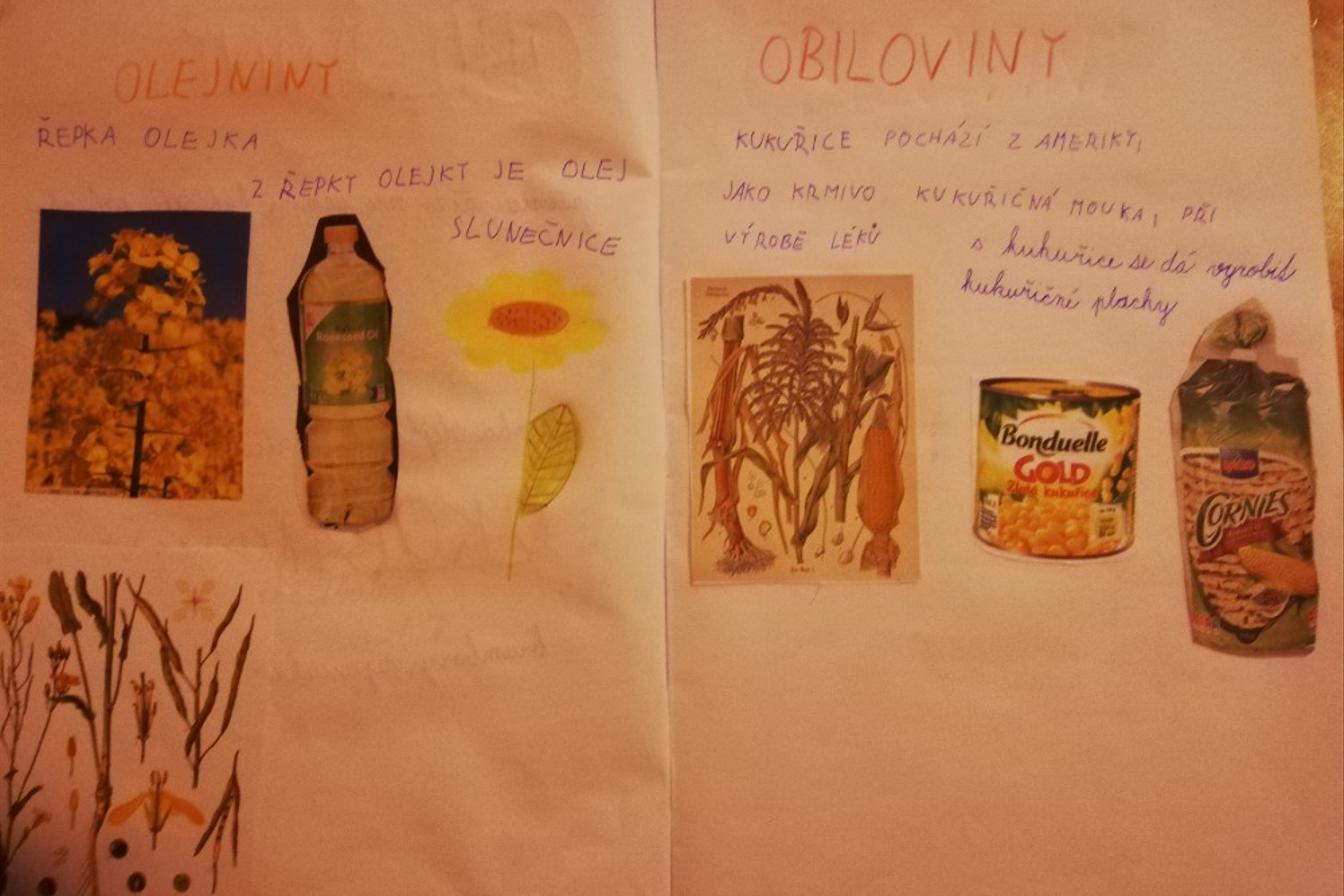 Distanční výuka ve třetí třídě 23. 10.