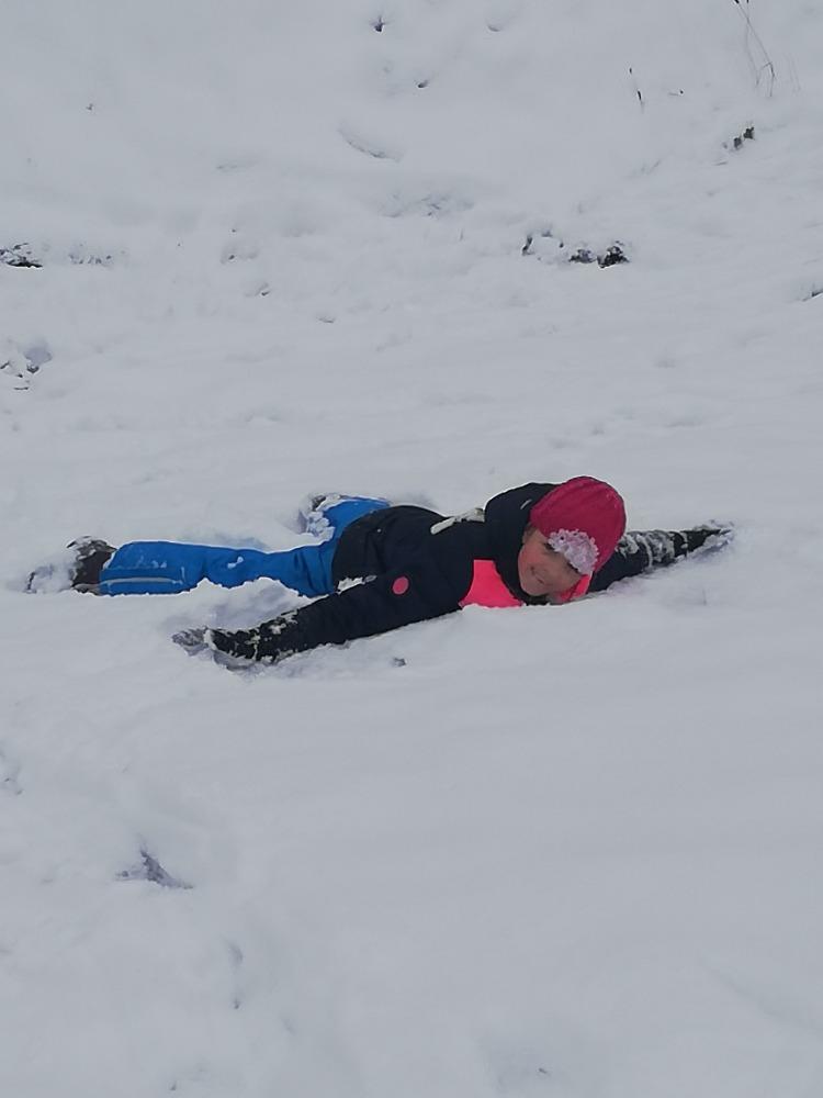 Distanční výuka ve třetí třídě 8. 1. - 2