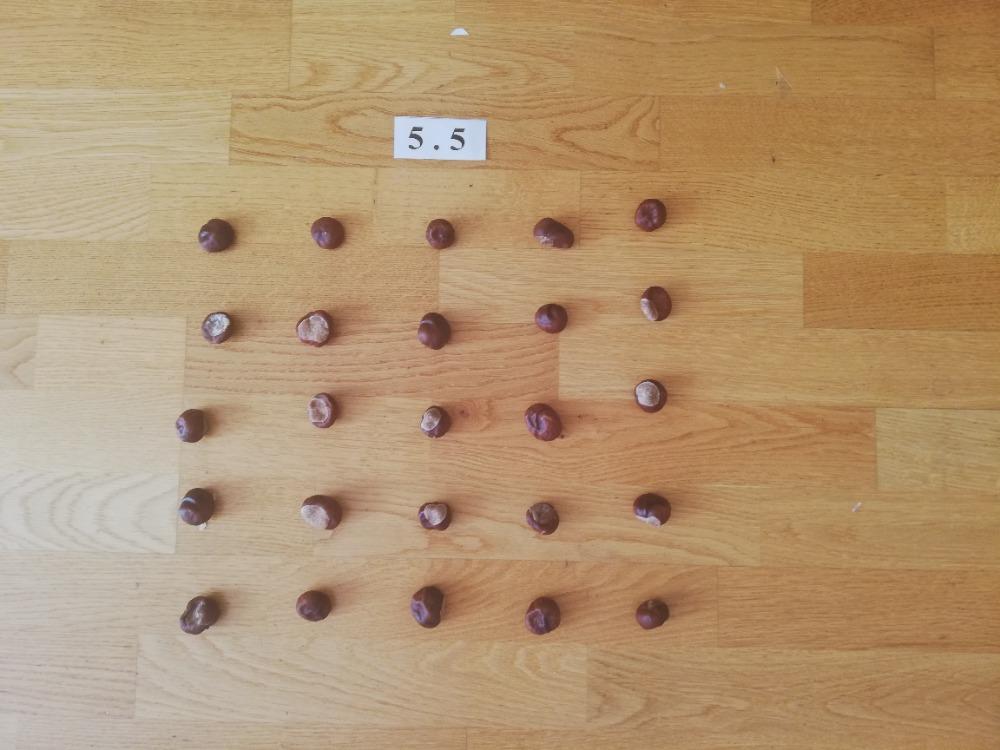 Distanční výuka ve třetí třídě 20. 11. - 3