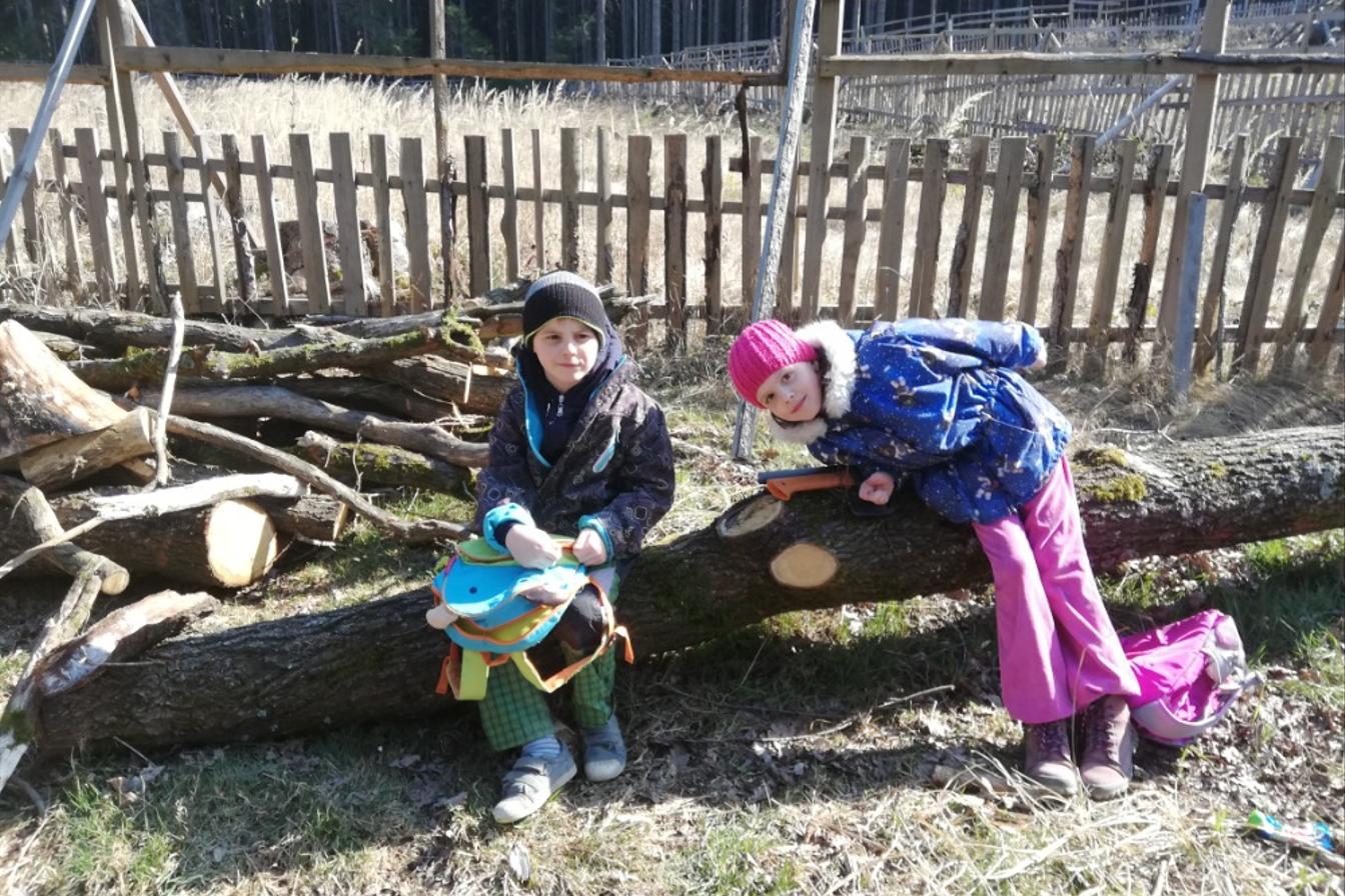 Aktivity druháčků v rámci domácího učení