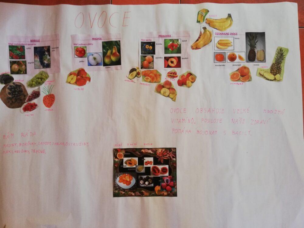 Výstupy druháčků z domácího učení 24. 5. - 1