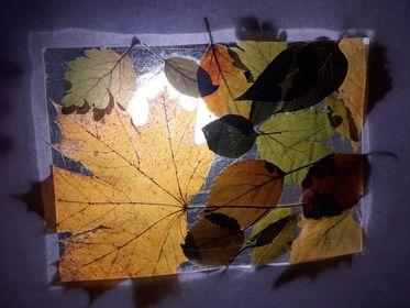 Činnost Badatelského kroužku - 1