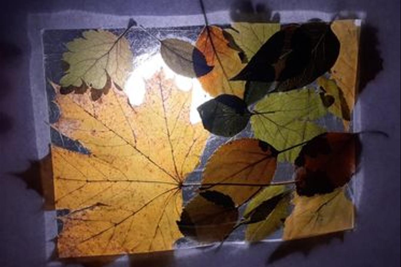 Činnost Badatelského kroužku