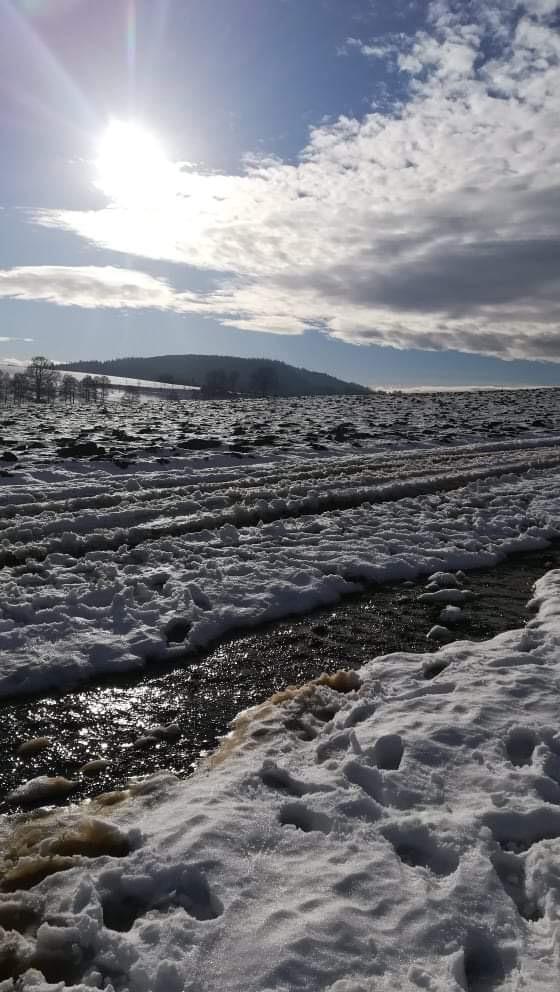 Po stopách zvířátek...družinka - 16
