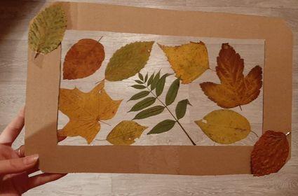 Činnost Badatelského kroužku - 2