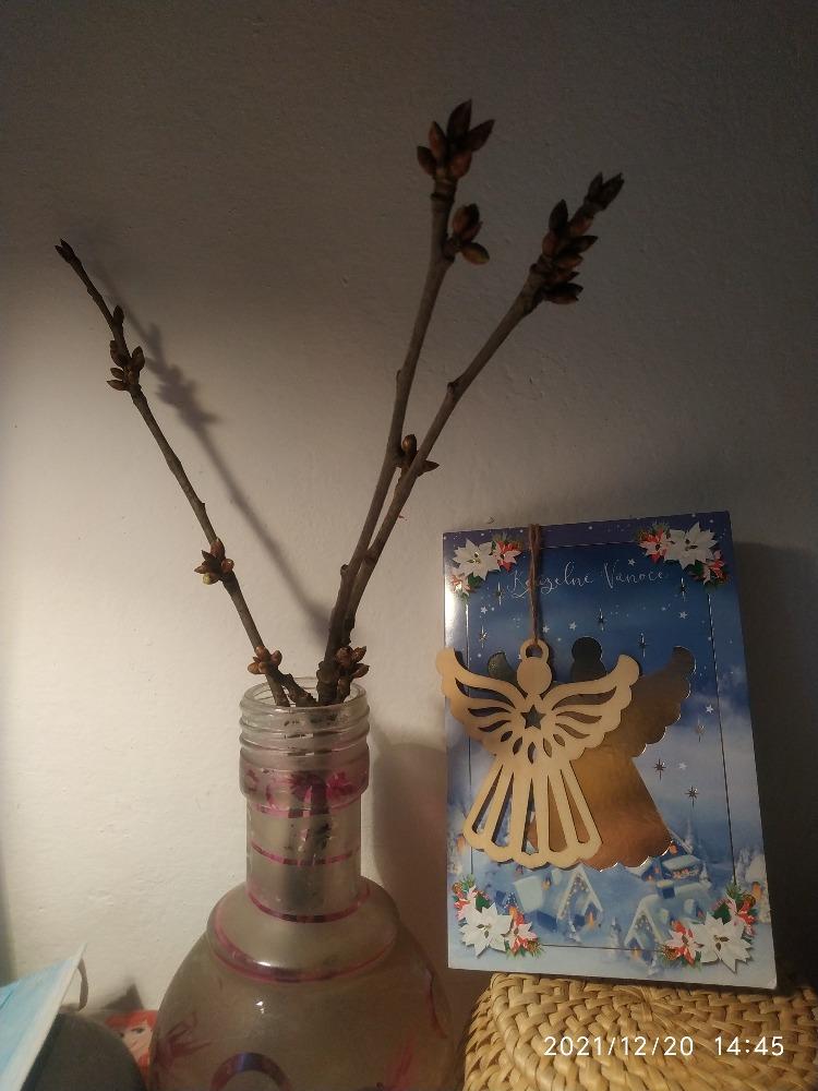 První zkušenost prvňáčků s distanční výukou - 3