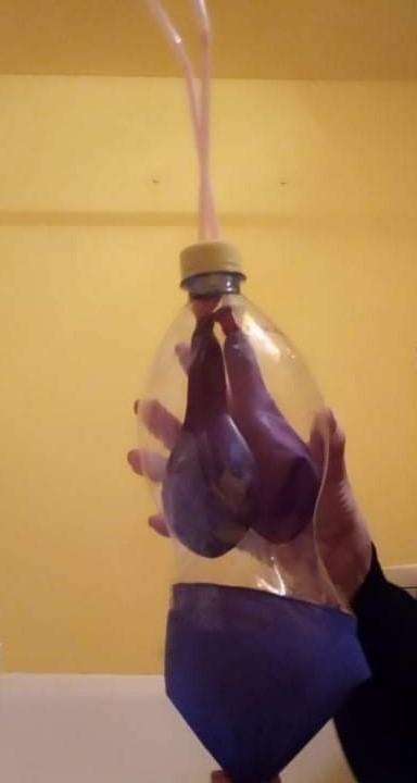 Laboratorní práce z Biologie člověka - 8. třída - 6