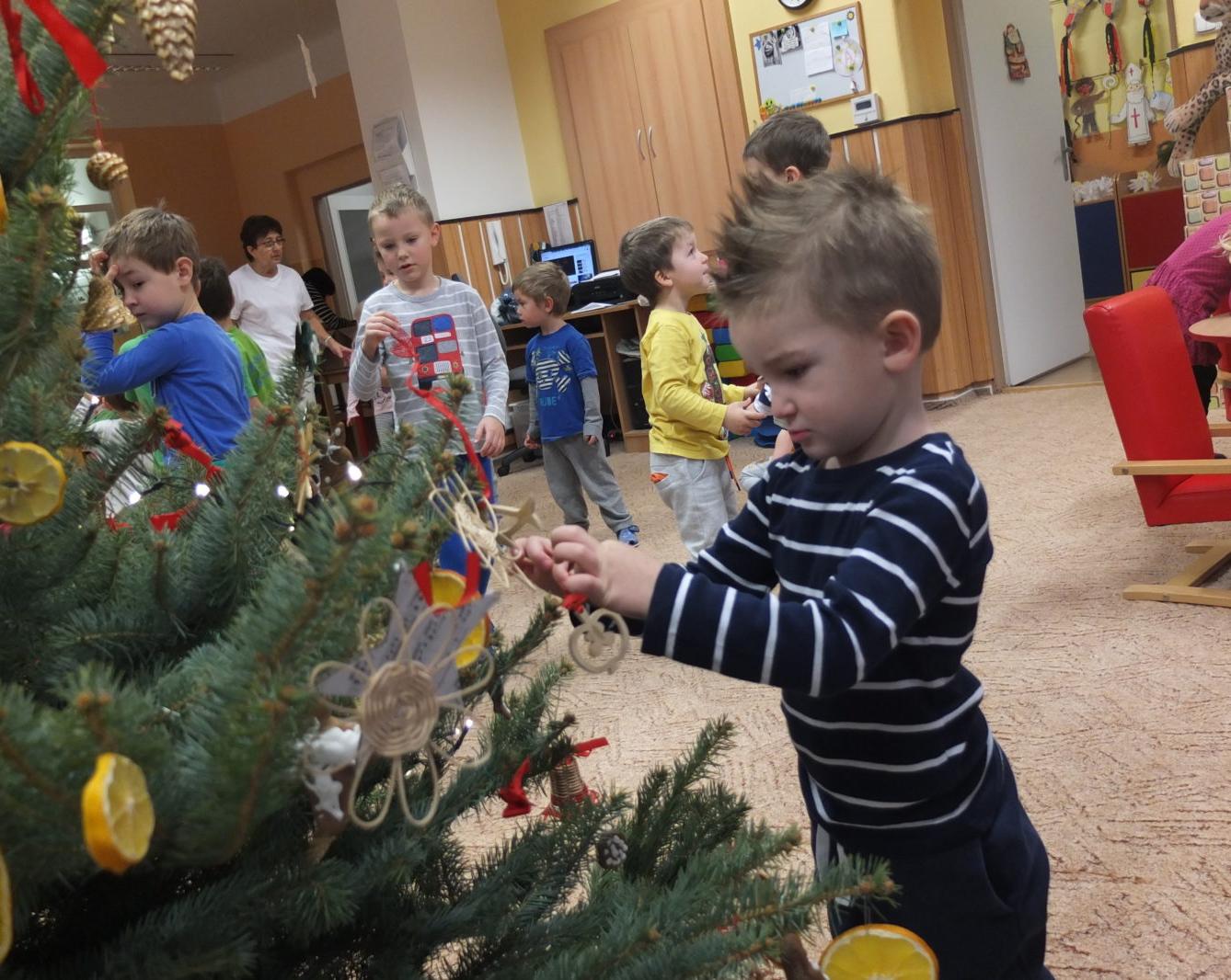 Strojení stromečku - 25