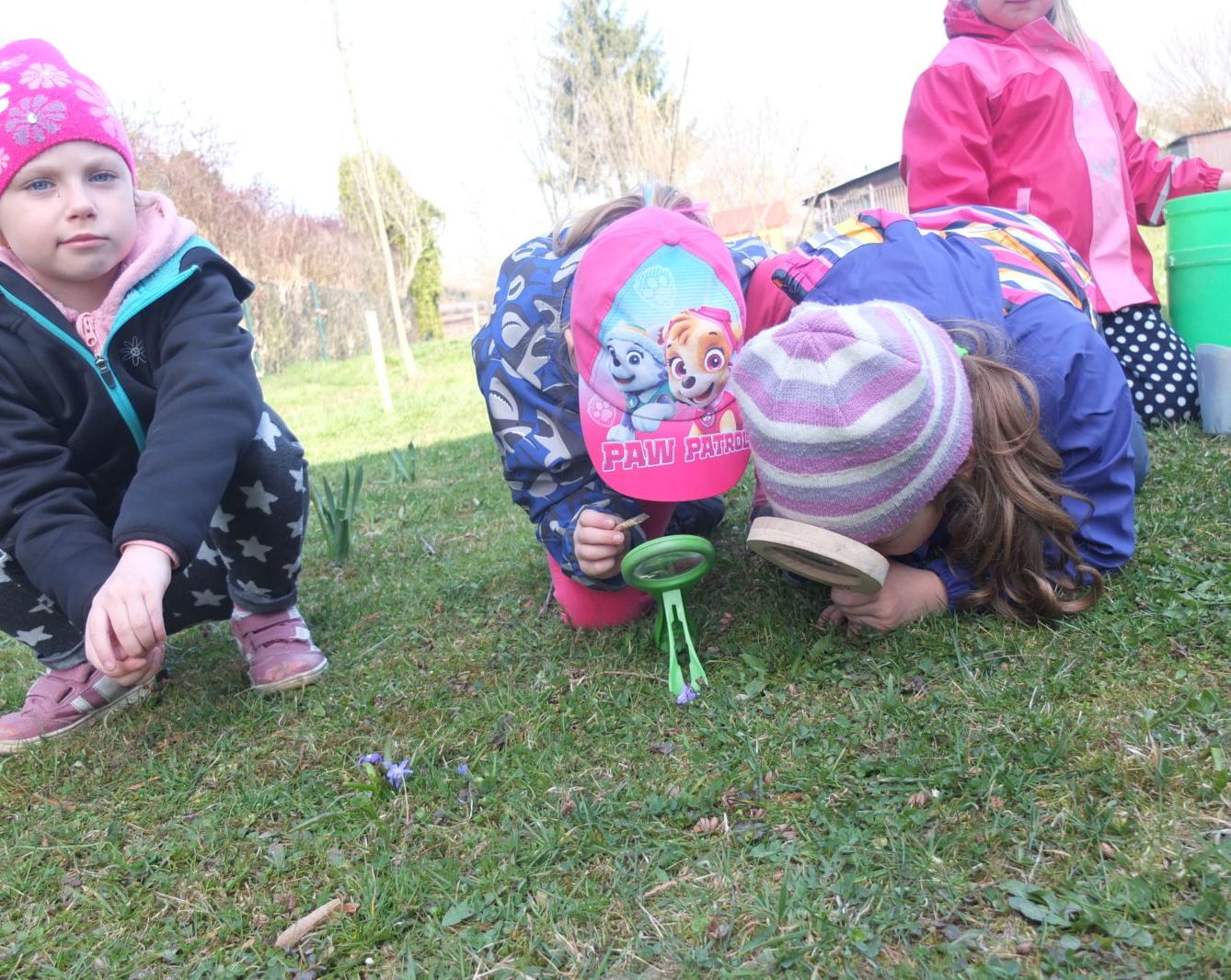 Sázení keříků s rodiči - 8