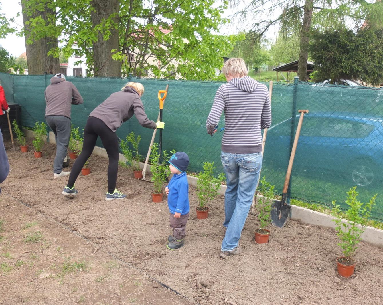 Sázení keříků s rodiči - 16